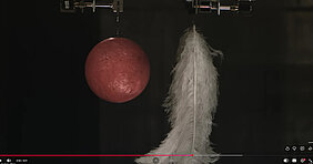 Standbild aus dem Youtube-Video von Brian Cox' Fallversuch (Quelle: https://www.youtube.com/watch?v=TP4qKBKCOro)