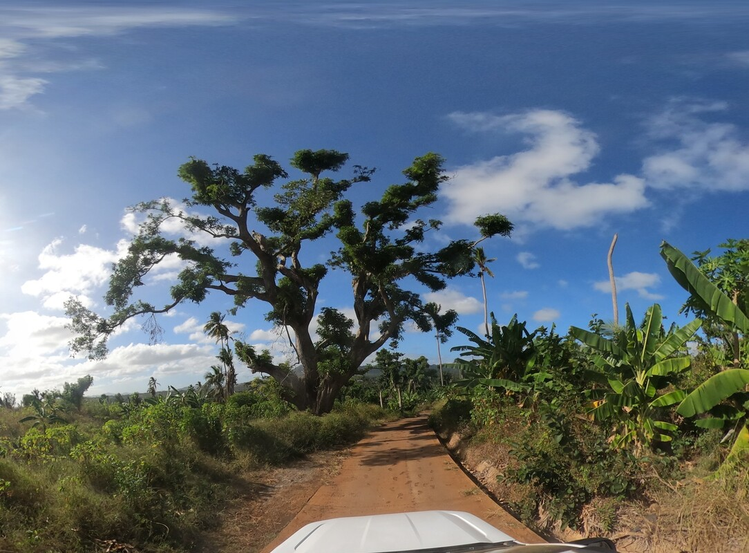 Ein neuer globaler Datensatz des Heidelberg Institute for Geoinformation Technology ermöglicht es, weltweit zwischen befestigten und unbefestigten Straßen zu unterscheiden. | Copyright: © sig_3co, Panoramax