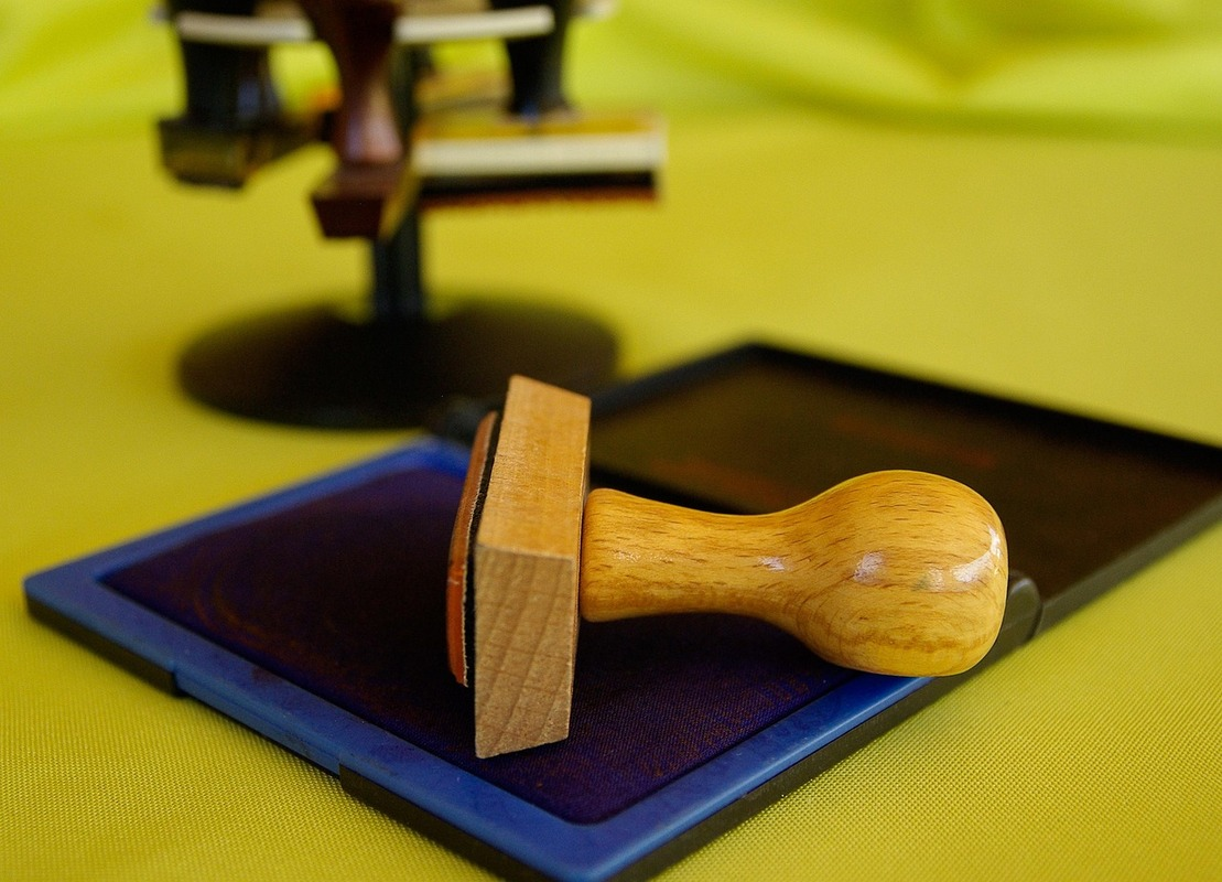 Image by jacqueline macou from Pixabay