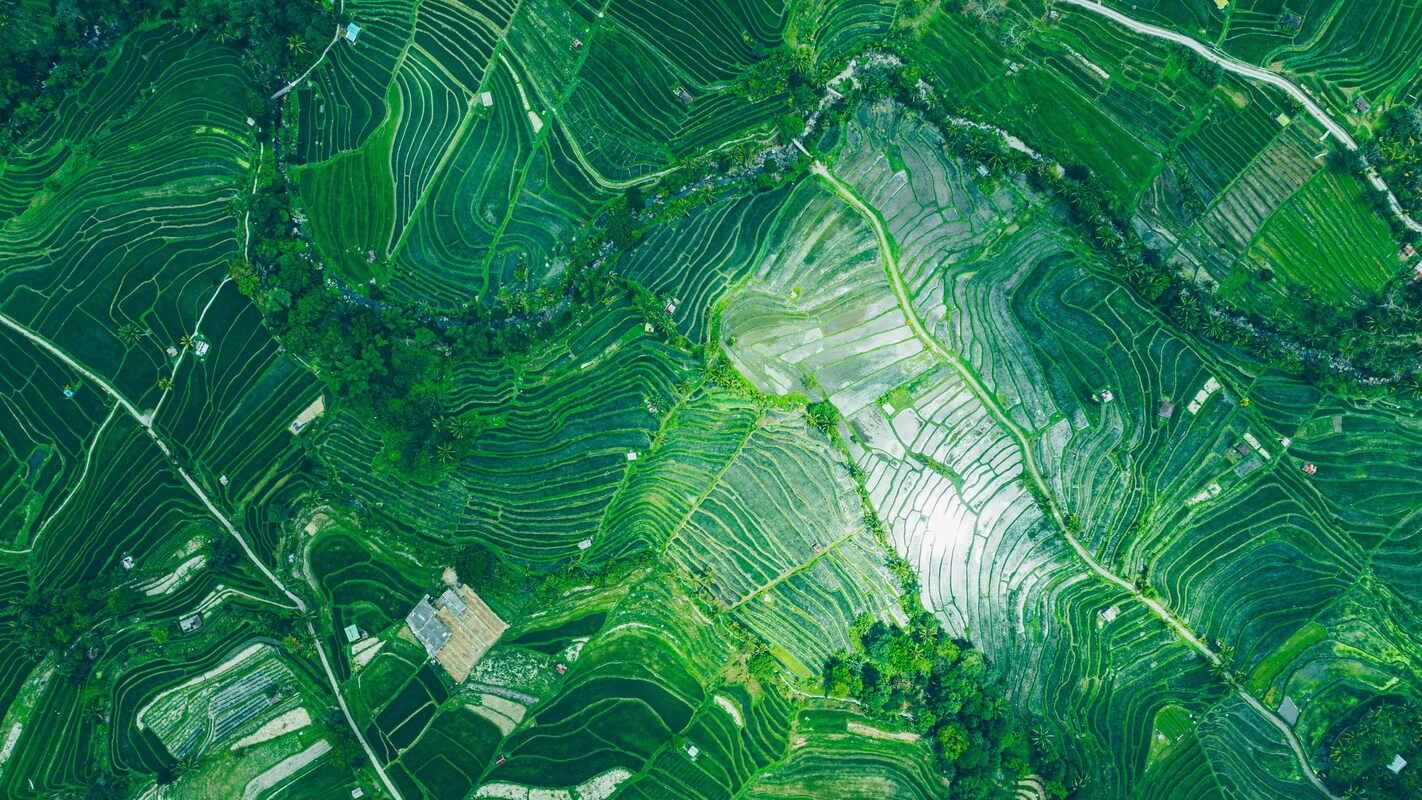 Bild: Unsplash