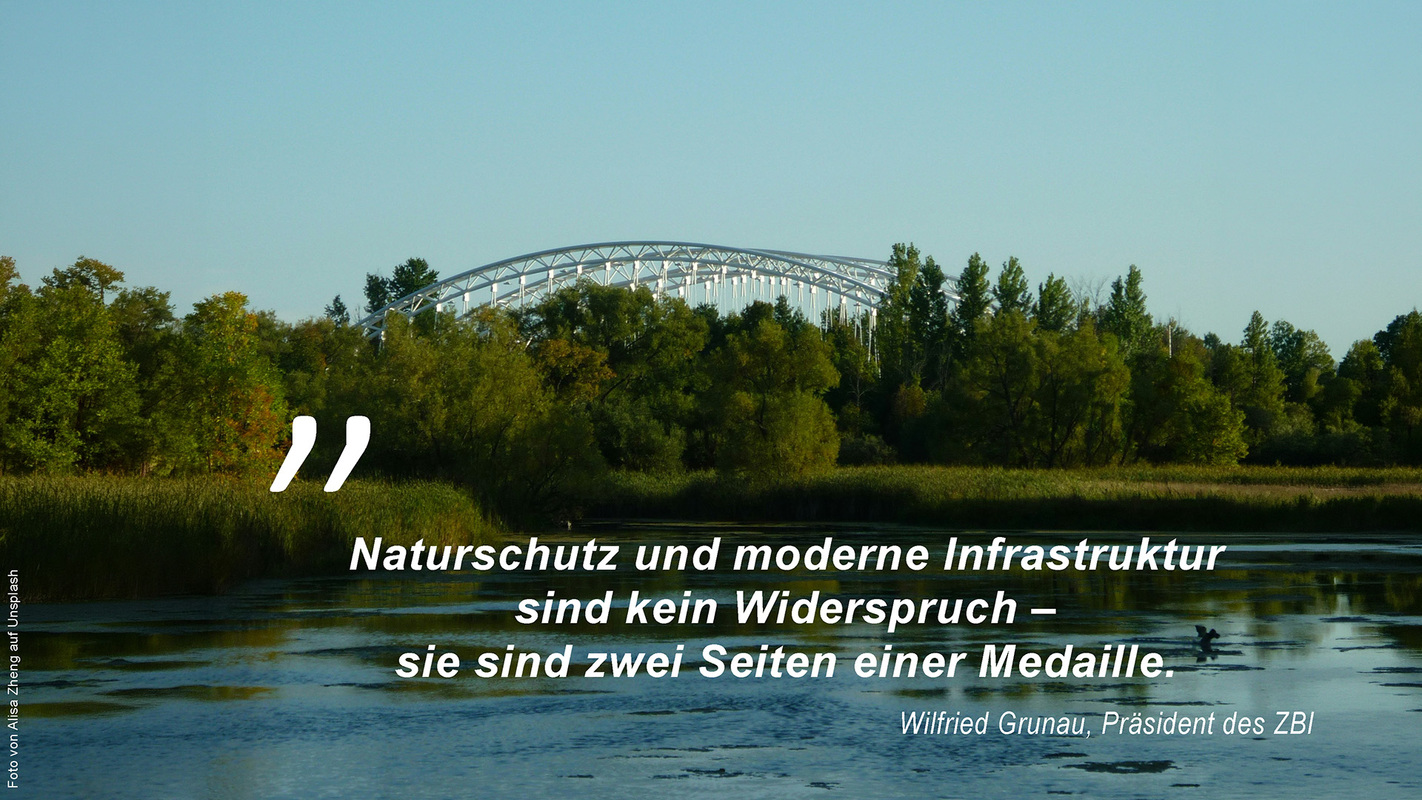 Symbolbild "Naturschutz und Infrastruktur sind kein Widerspruch. Foto von Alisa Zheng auf Unsplash"