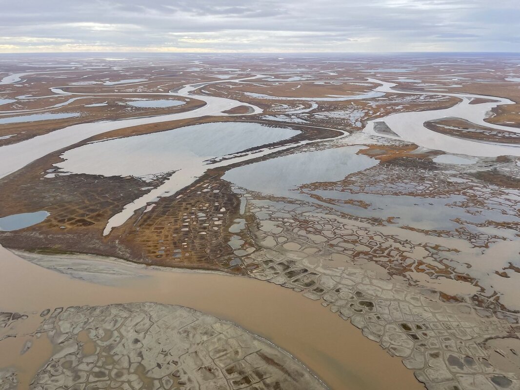 In Arktischen Flussdeltas sind rund 5 Prozent des globalen Permafrostkohlenstoffs auf „nur“ 1 Prozent seiner Fläche gebunden.  (Foto: Alfred-Wegener-Institut / Benjamin Jones / University of Alaska) 