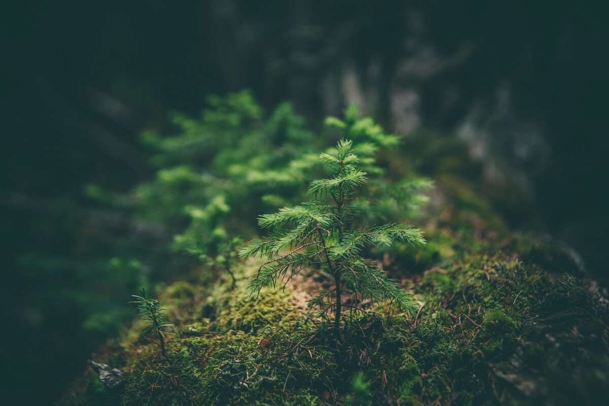 Foto von Matthew Smith auf Unsplash