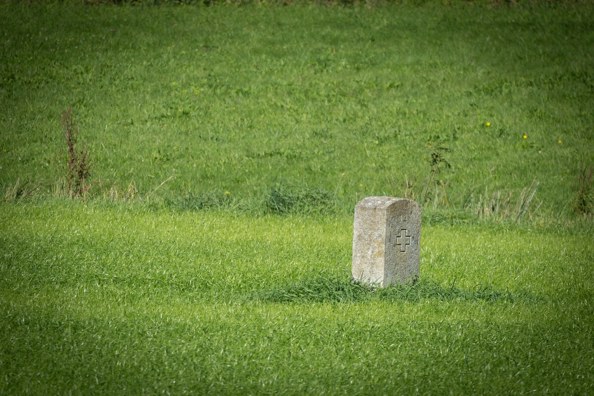 Foto von Valentin Zickner auf Unsplash (Symbolbild)