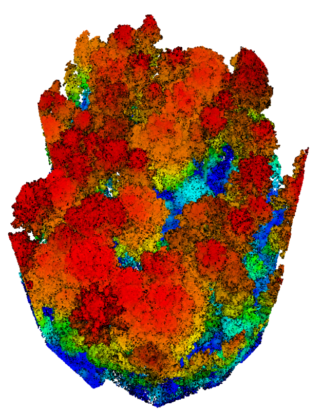 Lidar-Punkwolke, Bild: Sebastian Dersch, M.Eng.