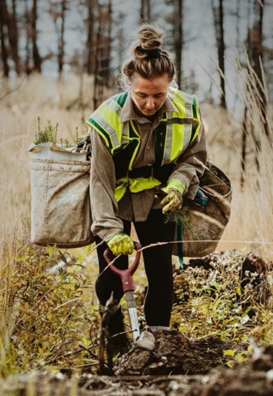 Getac und One Tree Planted engagieren sich gemeinsam für den Umweltschutz. Bild: Getac