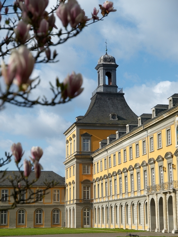Copyright: Frank Luerweg / Universität Bonn