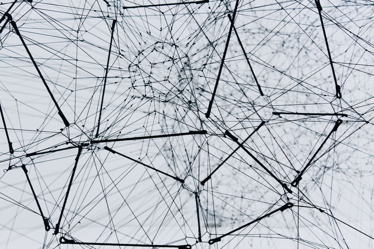 Foto von Alina Grubnyak auf Unsplash