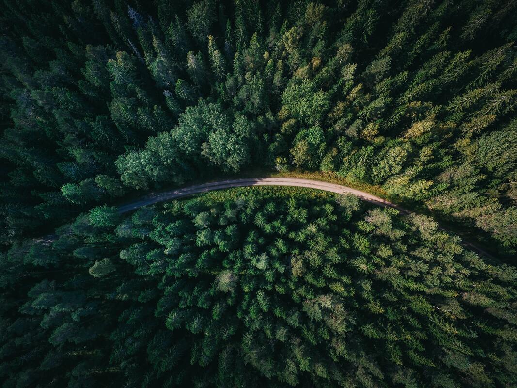 Photo by Geran de Klerk on Unsplash