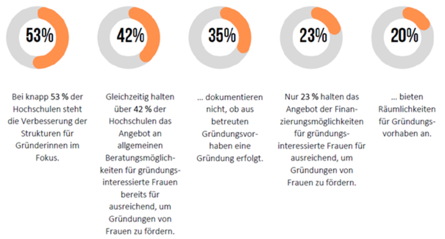 Aktuelle Strukturen an den Hochschulen in Deutschland. Bild Forschungsinstitut INES Berlin  / bundesweite gründerinnenagentur (bga)